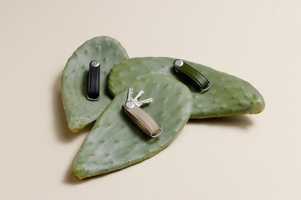 Orbitkey Key Organizer Cactus: The Sustainable Alternative to the Traditional Leather
