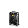 Crash Baggage Icon Luggage