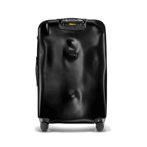 Crash Baggage Icon Luggage