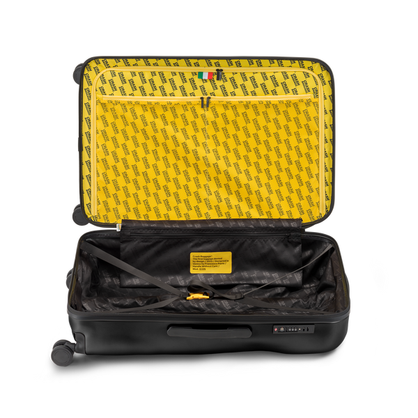 Crash Baggage Icon Luggage