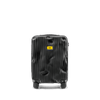 Crash Baggage Stripe Luggage