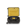 Crash Baggage Stripe Luggage