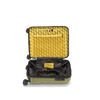 Crash Baggage Stripe Luggage