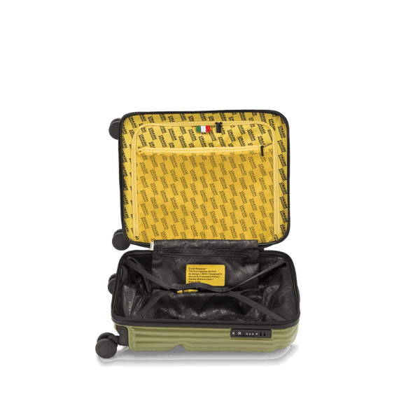 Crash Baggage Stripe Luggage