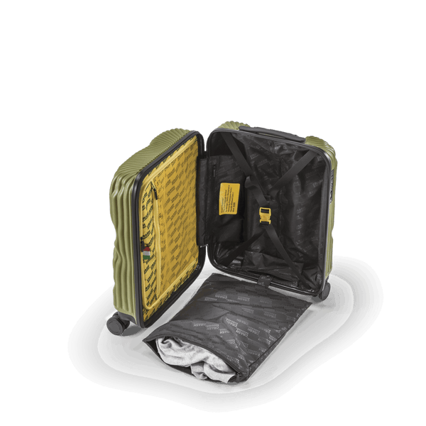 Crash Baggage Stripe Luggage
