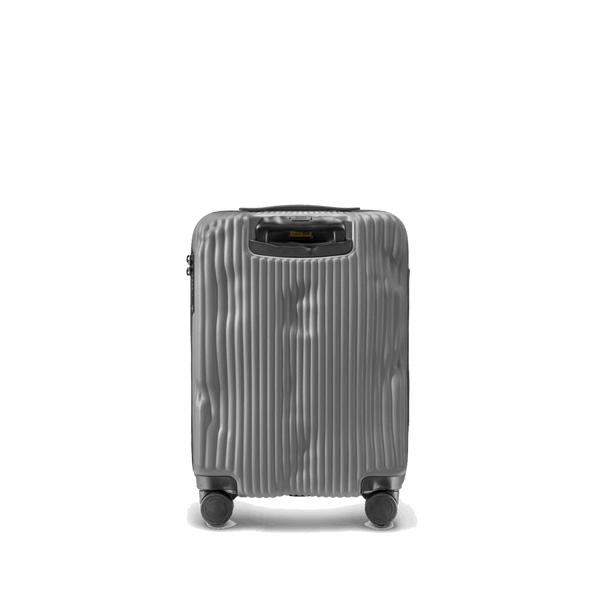 Crash Baggage Stripe Luggage