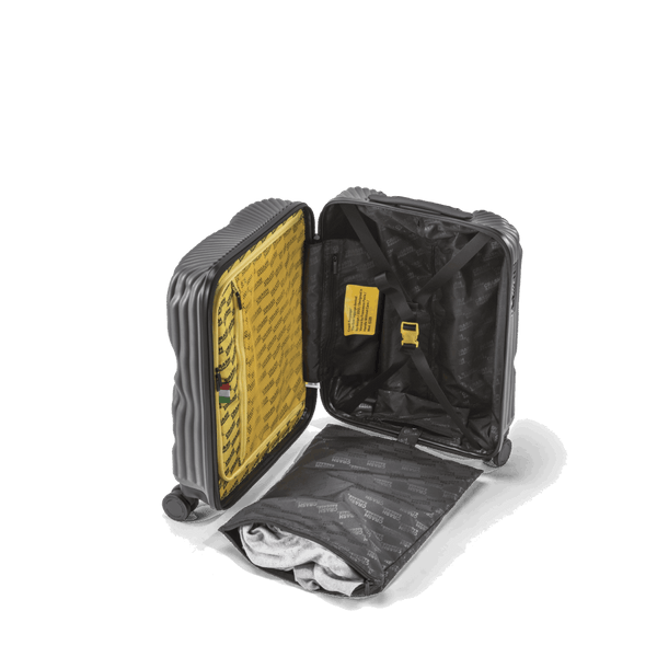 Crash Baggage Stripe Luggage