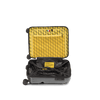 Crash Baggage Stripe Luggage