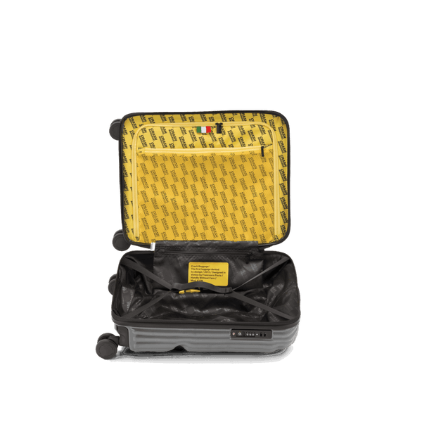 Crash Baggage Stripe Luggage