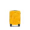 Crash Baggage Stripe Luggage