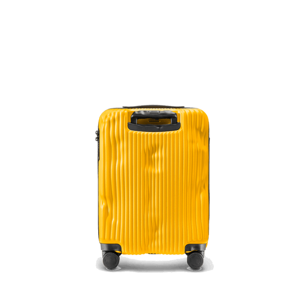 Crash Baggage Stripe Luggage