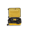 Crash Baggage Stripe Luggage