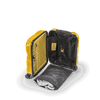 Crash Baggage Stripe Luggage