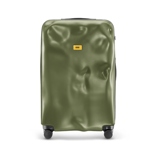 Crash Baggage Icon Luggage