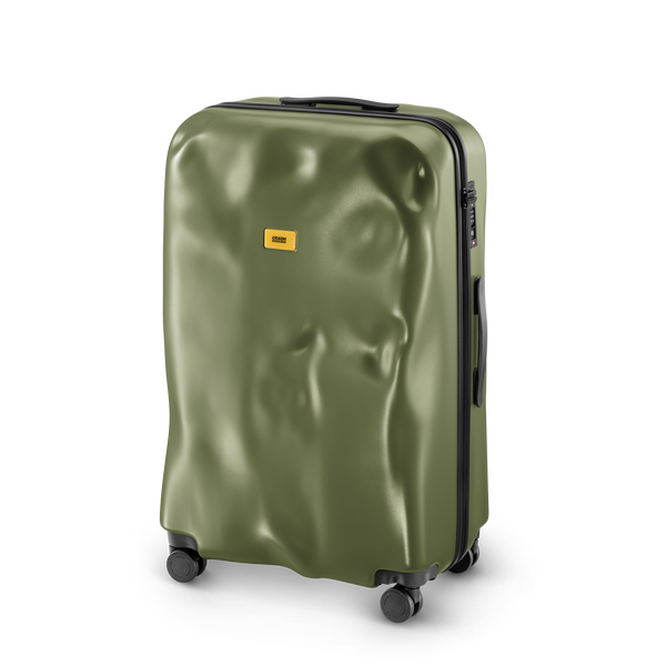 Crash Baggage Icon Luggage