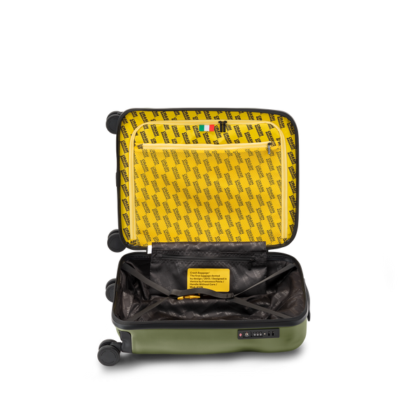 Crash Baggage Icon Luggage