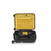 Crash Baggage Stripe Luggage