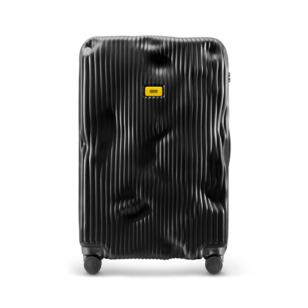 Crash Baggage Stripe Luggage