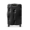 Crash Baggage Stripe Luggage
