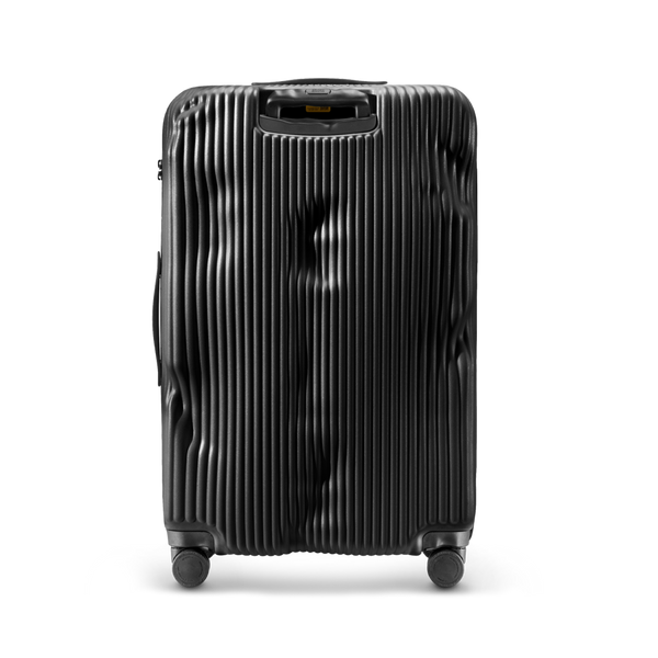 Crash Baggage Stripe Luggage
