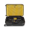 Crash Baggage Stripe Luggage