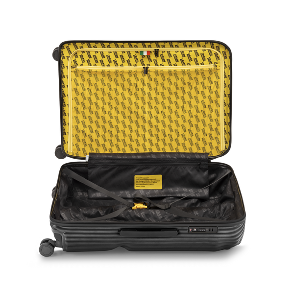 Crash Baggage Stripe Luggage