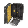 Crash Baggage Stripe Luggage