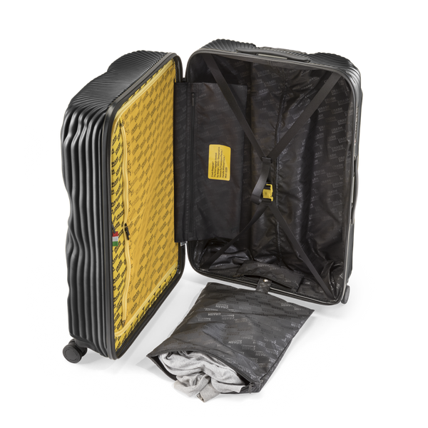 Crash Baggage Stripe Luggage