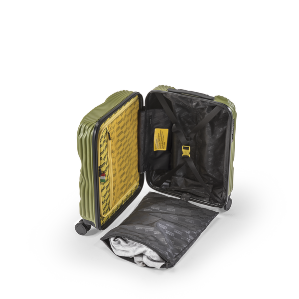 Crash Baggage Stripe Luggage