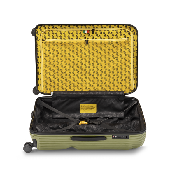 Crash Baggage Stripe Luggage