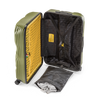 Crash Baggage Stripe Luggage