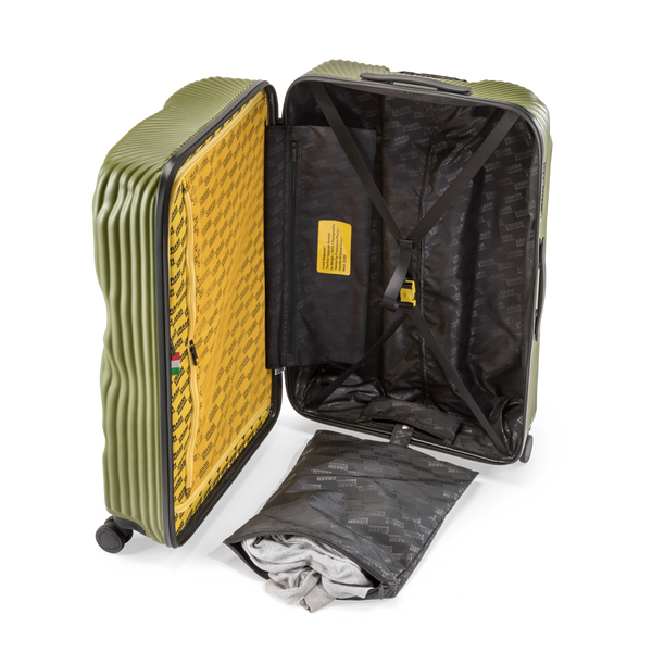 Crash Baggage Stripe Luggage