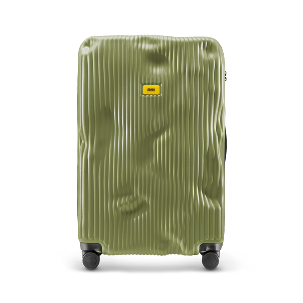 Crash Baggage Stripe Luggage