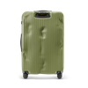 Crash Baggage Stripe Luggage