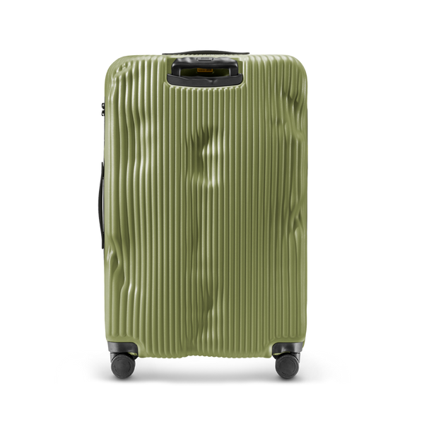 Crash Baggage Stripe Luggage