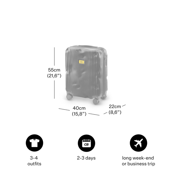 Crash Baggage Stripe Luggage