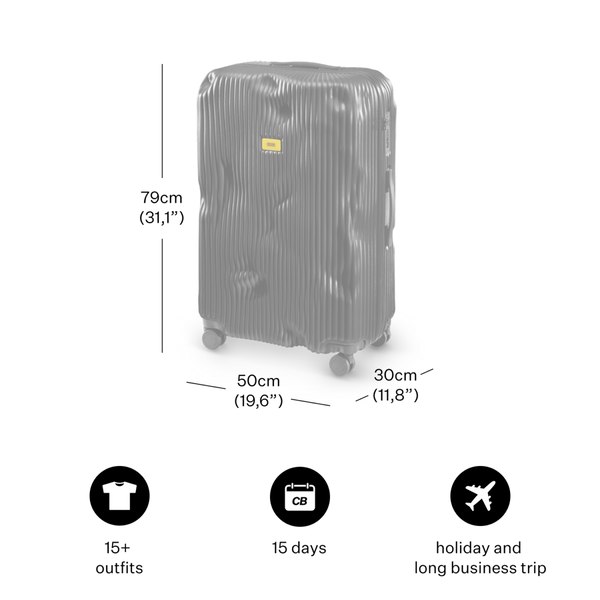 Crash Baggage Stripe Luggage