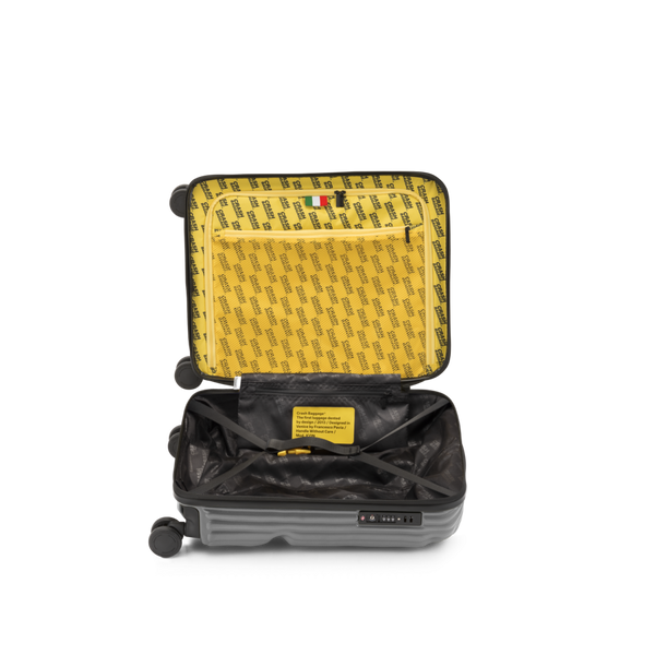 Crash Baggage Stripe Luggage
