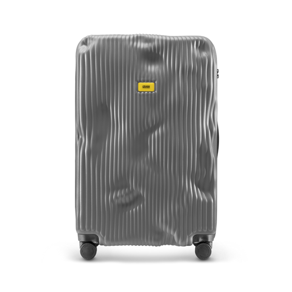 Crash Baggage Stripe Luggage
