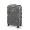 Crash Baggage Stripe Luggage