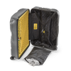 Crash Baggage Stripe Luggage
