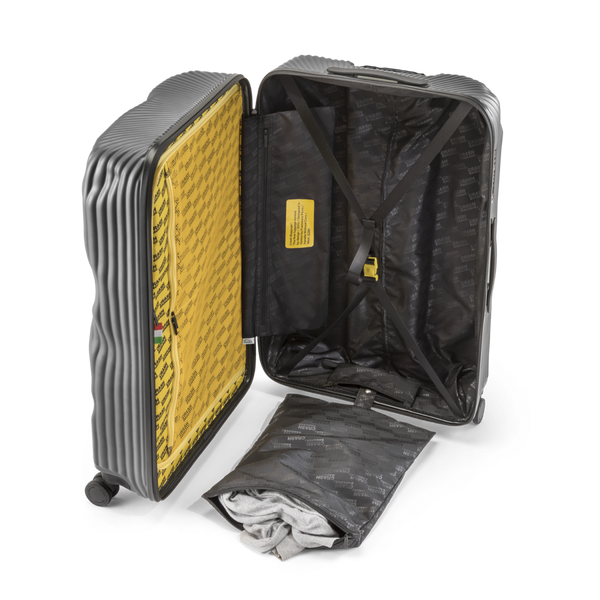 Crash Baggage Stripe Luggage