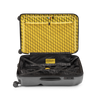 Crash Baggage Stripe Luggage