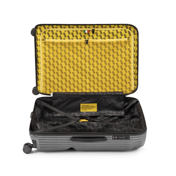 Crash Baggage Stripe Luggage
