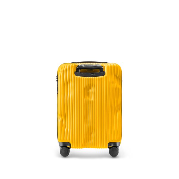 Crash Baggage Stripe Luggage