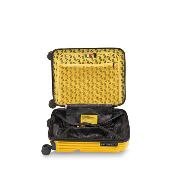 Crash Baggage Stripe Luggage