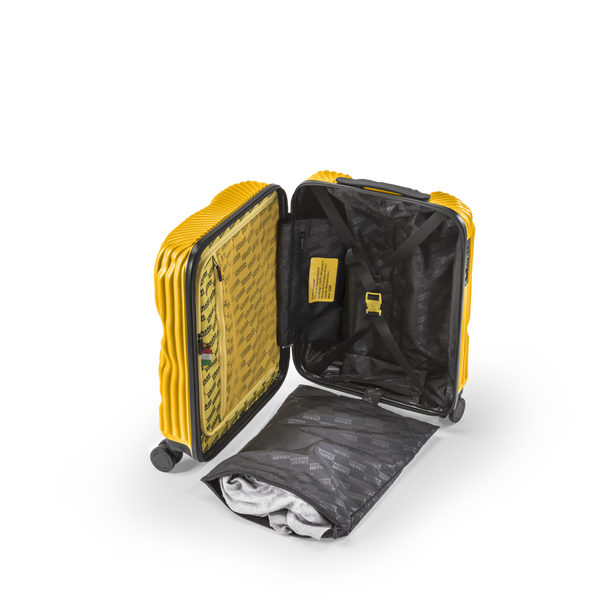 Crash Baggage Stripe Luggage