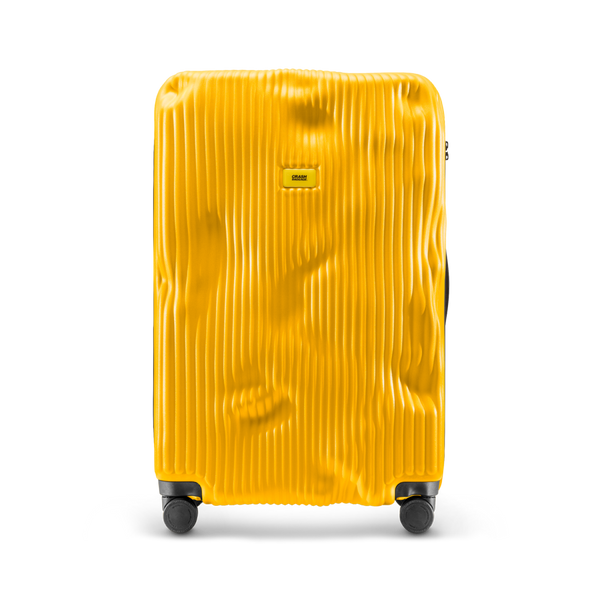 Crash Baggage Stripe Luggage