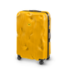 Crash Baggage Stripe Luggage