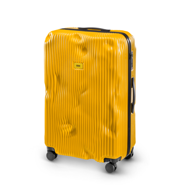 Crash Baggage Stripe Luggage